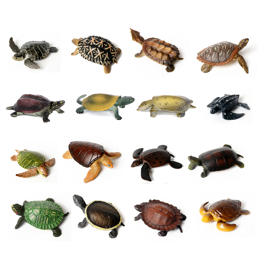 Marine Aquarium & Regional Centre - Realistyczne miniatury życie morskie żółwiem morskim