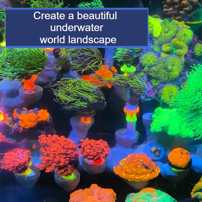 Podstawa koralowa z regulowany – Coral Frag Plug recenzja i cena