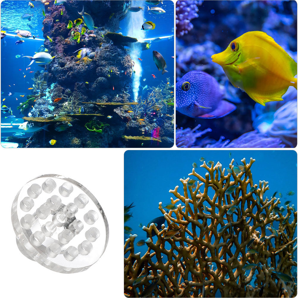 10 szt. Akrylowa Podstawa na K – Coral Frag Plug recenzja i cena