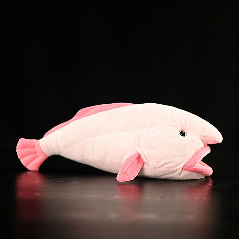 Symulowane zwierzę Blobfish Se – Aquarium And Marine Museum recenzja i cena
