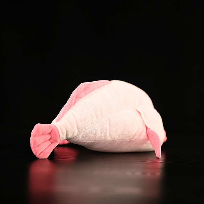 Symulowane zwierzę Blobfish Se – Aquarium And Marine Museum recenzja i cena