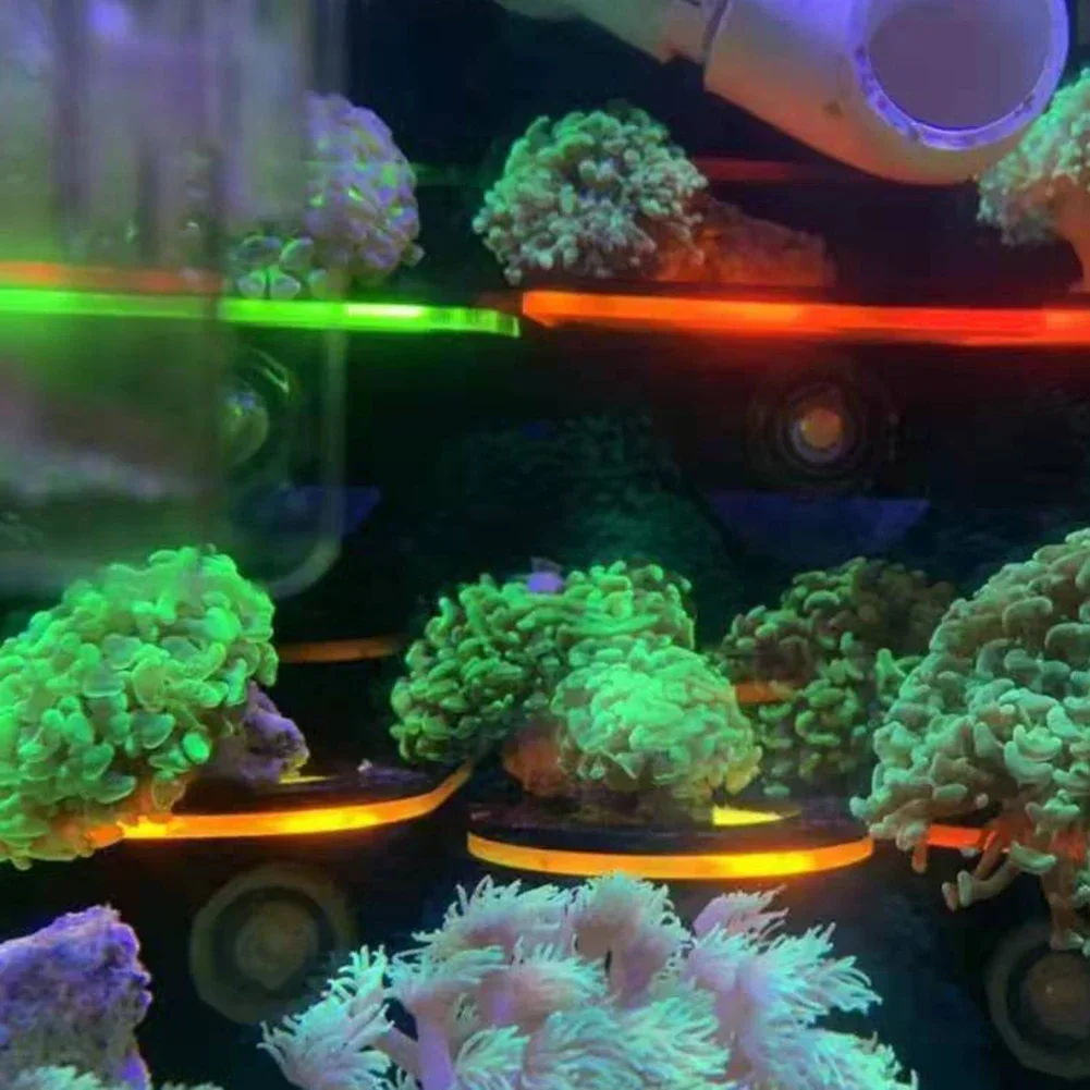 Uchwyty akrylowe do akwariów,  – Coral Frag Plug recenzja i cena
