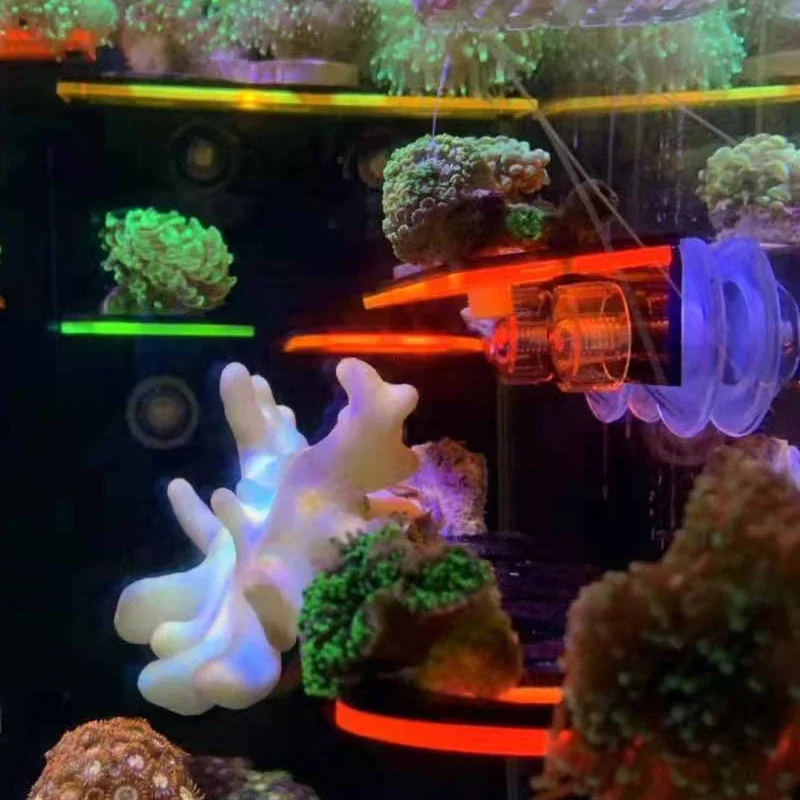 Uchwyty akrylowe do akwariów,  – Coral Frag Plug recenzja i cena