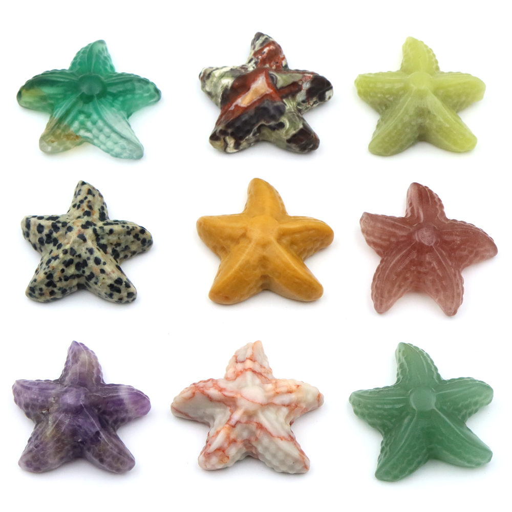 Figurka rozgwiazdy 35 mm, kszt – Marine Aquarium & Regional Centre recenzja i cena