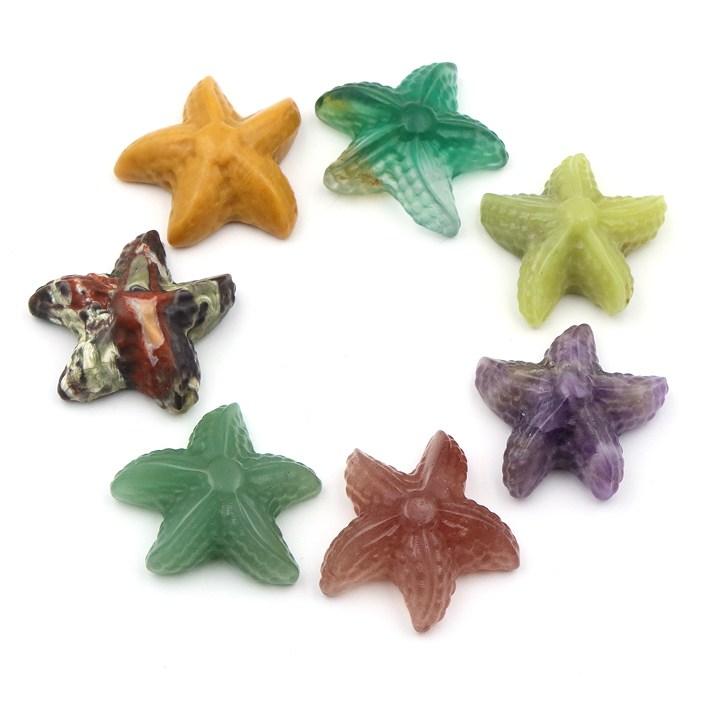 Figurka rozgwiazdy 35 mm, kszt – Marine Aquarium & Regional Centre recenzja i cena