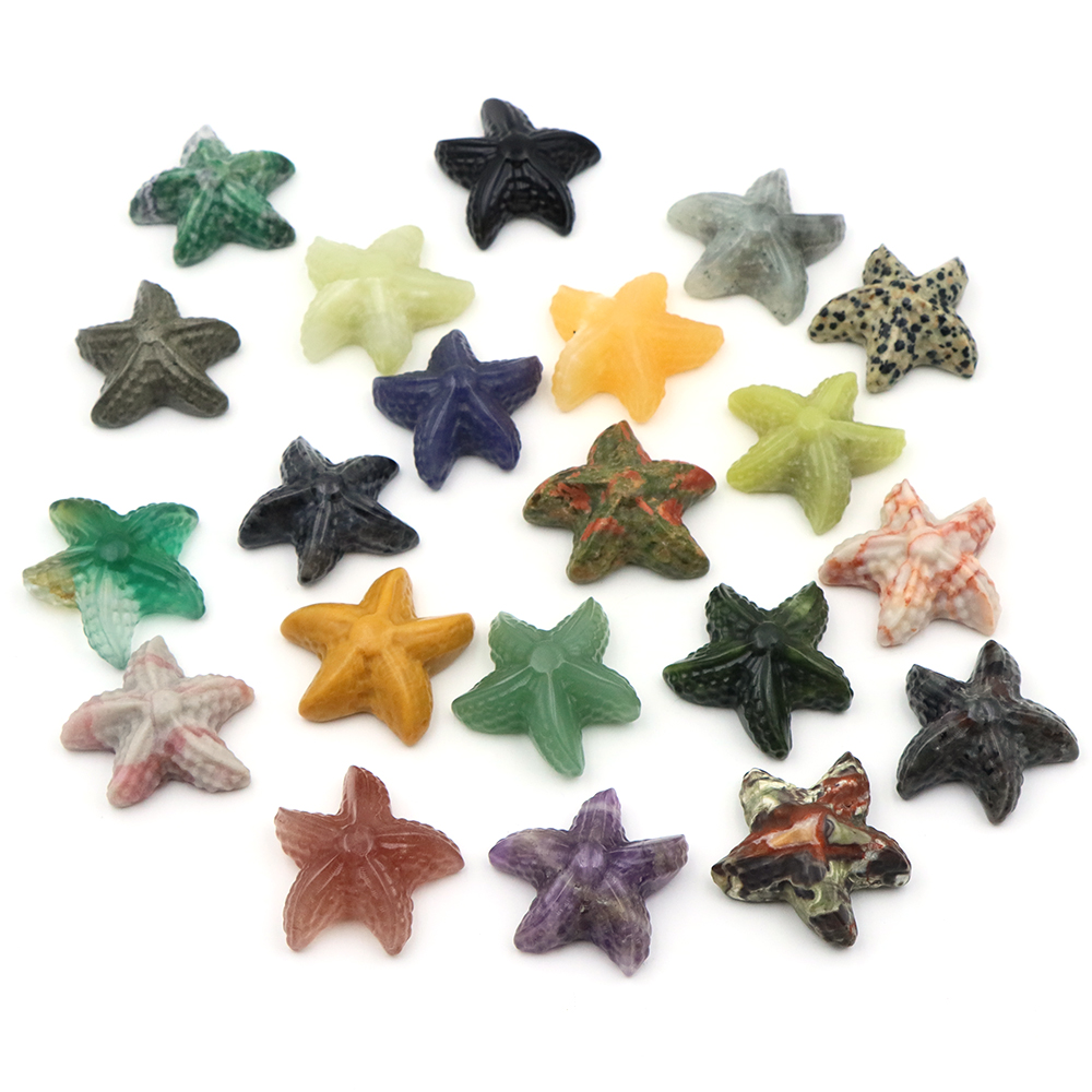 Figurka rozgwiazdy 35 mm, kszt – Marine Aquarium & Regional Centre recenzja i cena