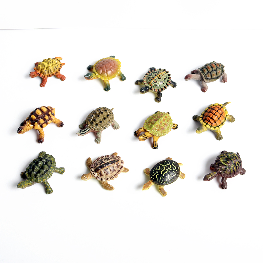 Realistyczne miniatury życie m – Marine Aquarium & Regional Centre recenzja i cena