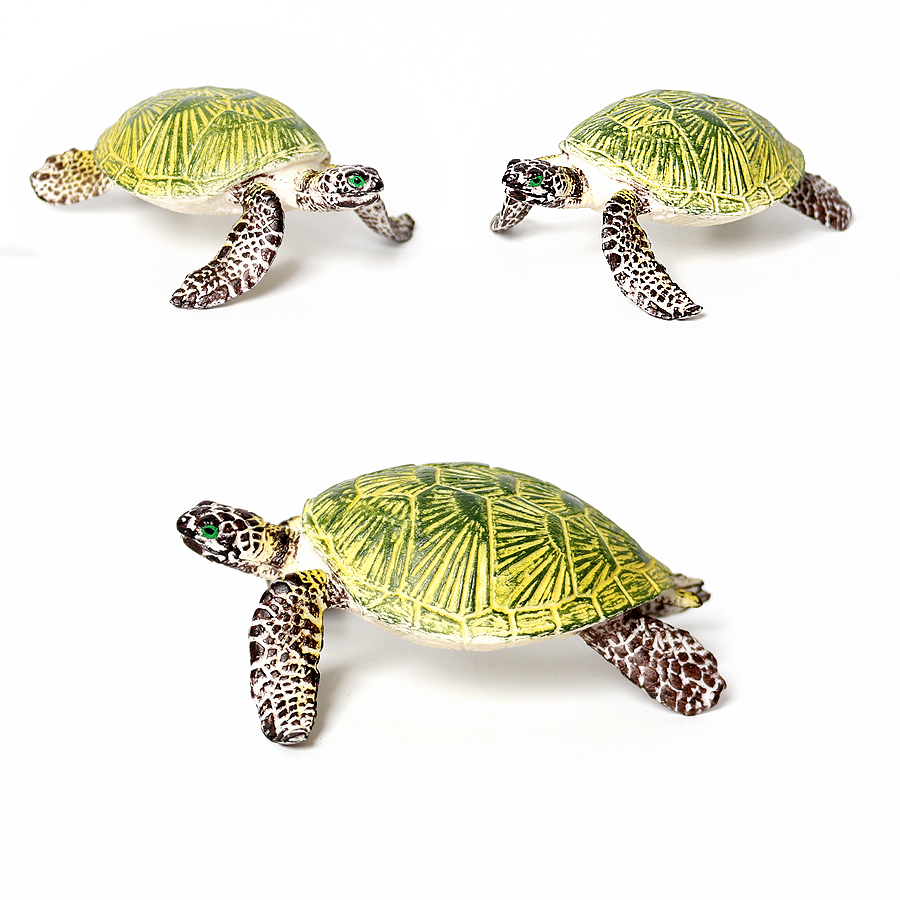 Realistyczne miniatury życie m – Marine Aquarium & Regional Centre recenzja i cena